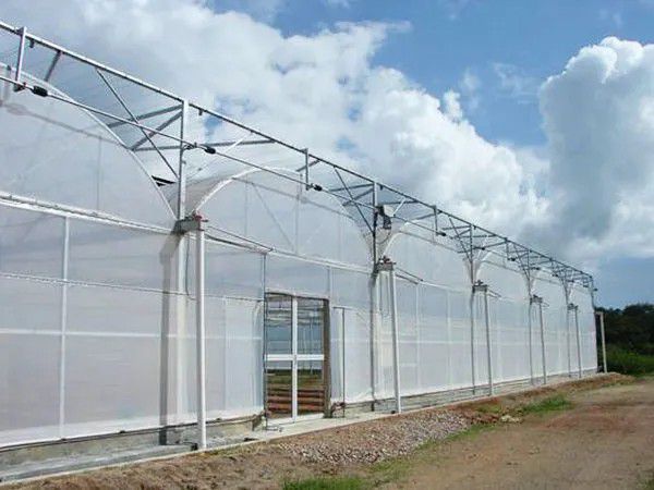 福州連棟溫室大棚