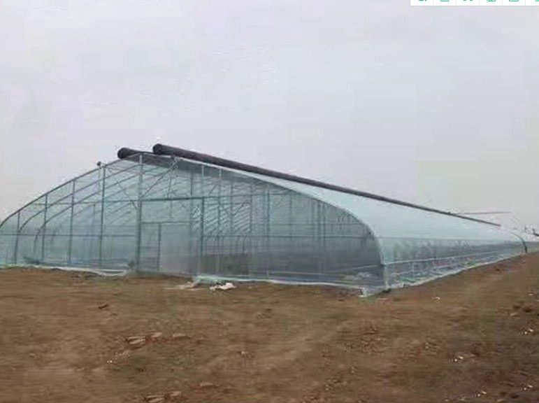 晉州橢圓管大棚