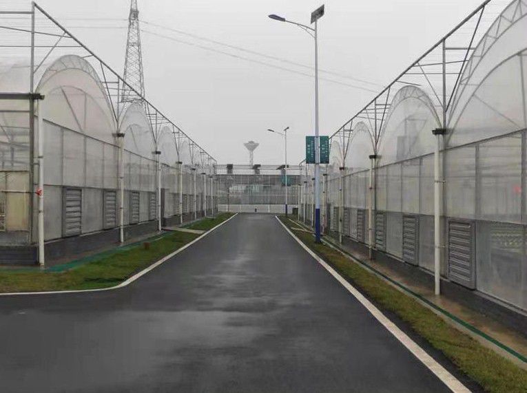 福州連棟溫室大棚