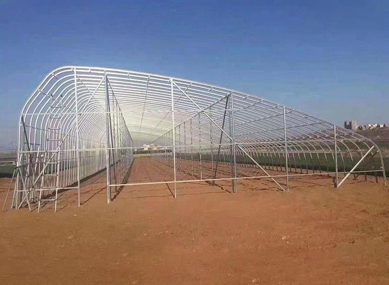 晉州橢圓管大棚