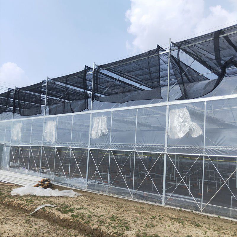 南城外遮陽大棚