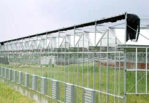 福州連棟溫室大棚