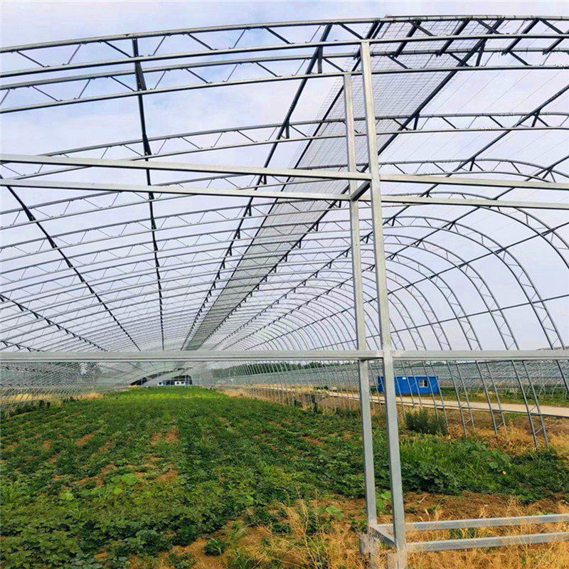 晉州大棚骨架