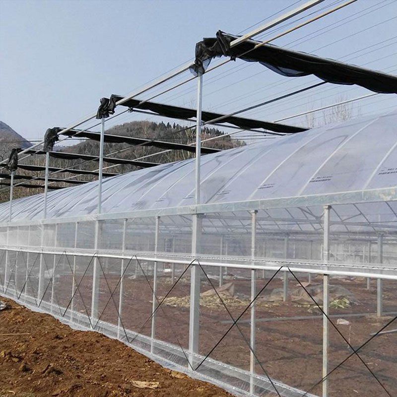 南城外遮陽大棚