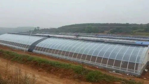 晉州橢圓管大棚