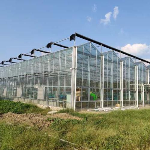福州連棟溫室大棚