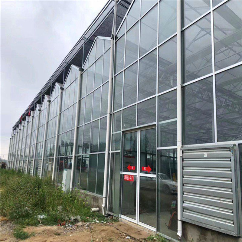 晉州玻璃溫室