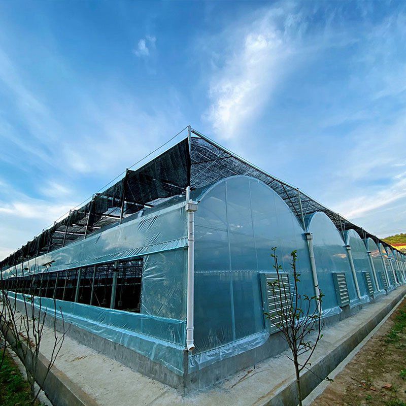 南城外遮陽大棚