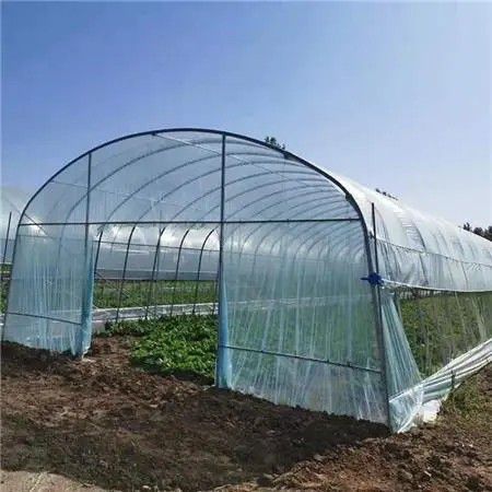 晉州橢圓管大棚